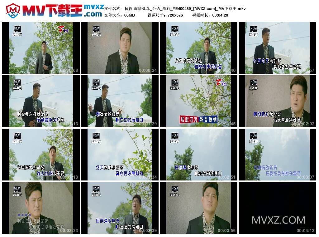 杨哲-痴情孤鸟_台语_流行_YE400489